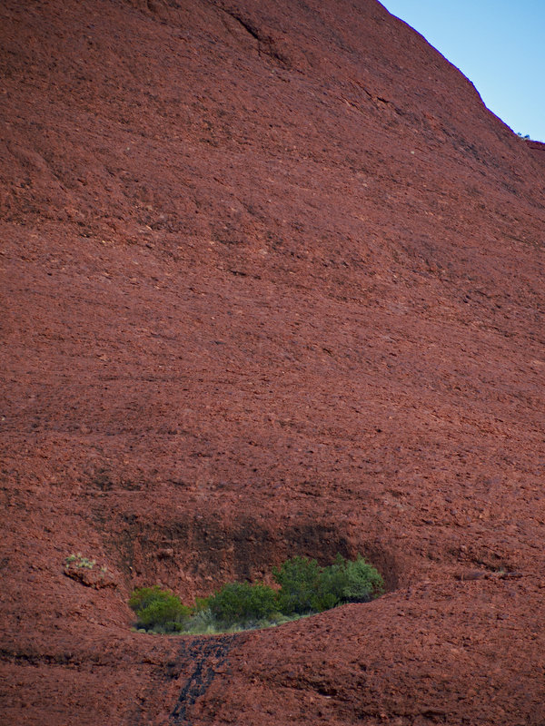 Kata Tjuta